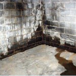 Importance-of-basement-maintenance